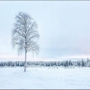 Meet your Posher, Chad